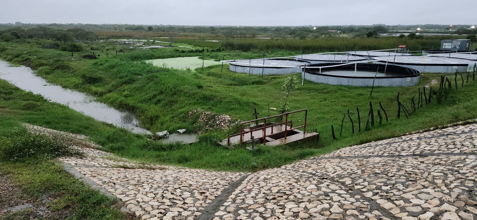 De la ADR depende que 22.000 hectáreas sean poco productivas en Atlántico