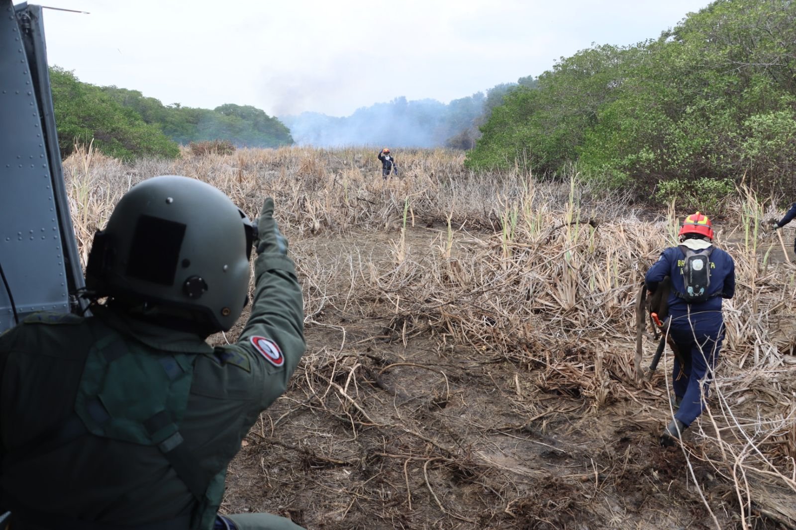 Parte del terreno devastado por el incendio que duró seis días.