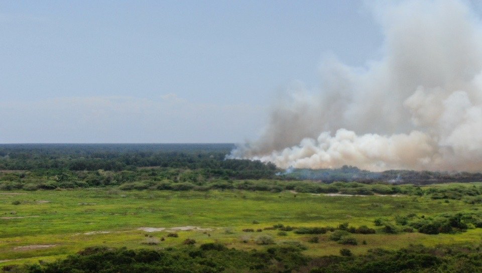 La enea seca ardió rápidamente en el área El Salado, en el momento más crítico de la emergencia.