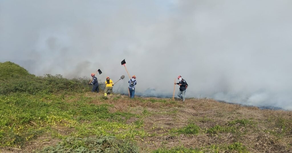 Bomberos de Parques Naturales y Sitionuevo en su peligrosa lucha contra el incendio.