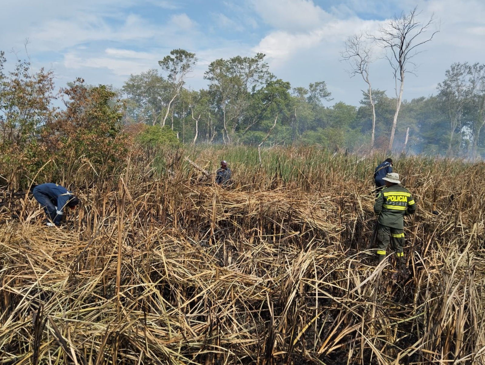 Área del Parque Salamanca afectada por un incendio.