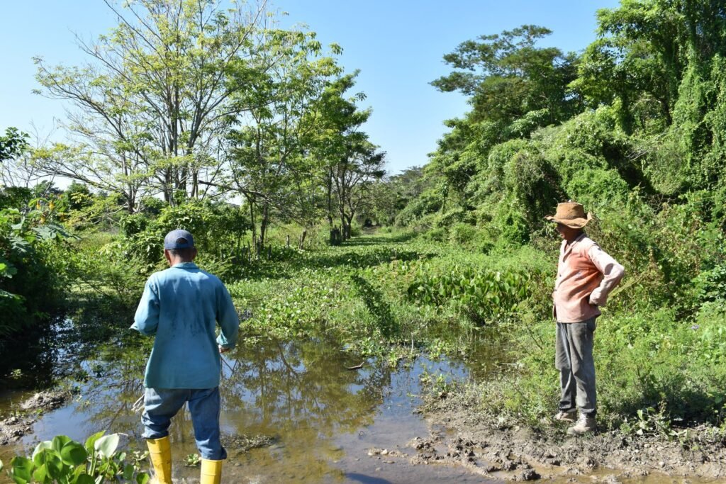 En pocas horas la inundación acabó el arduo trabajo de tres meses de 30 familias campesinas.