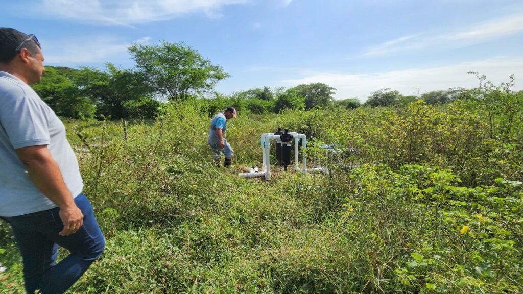 Moreno y Aristizábal despejan la maleza que se ha tragado los sistemas de riego instalados.