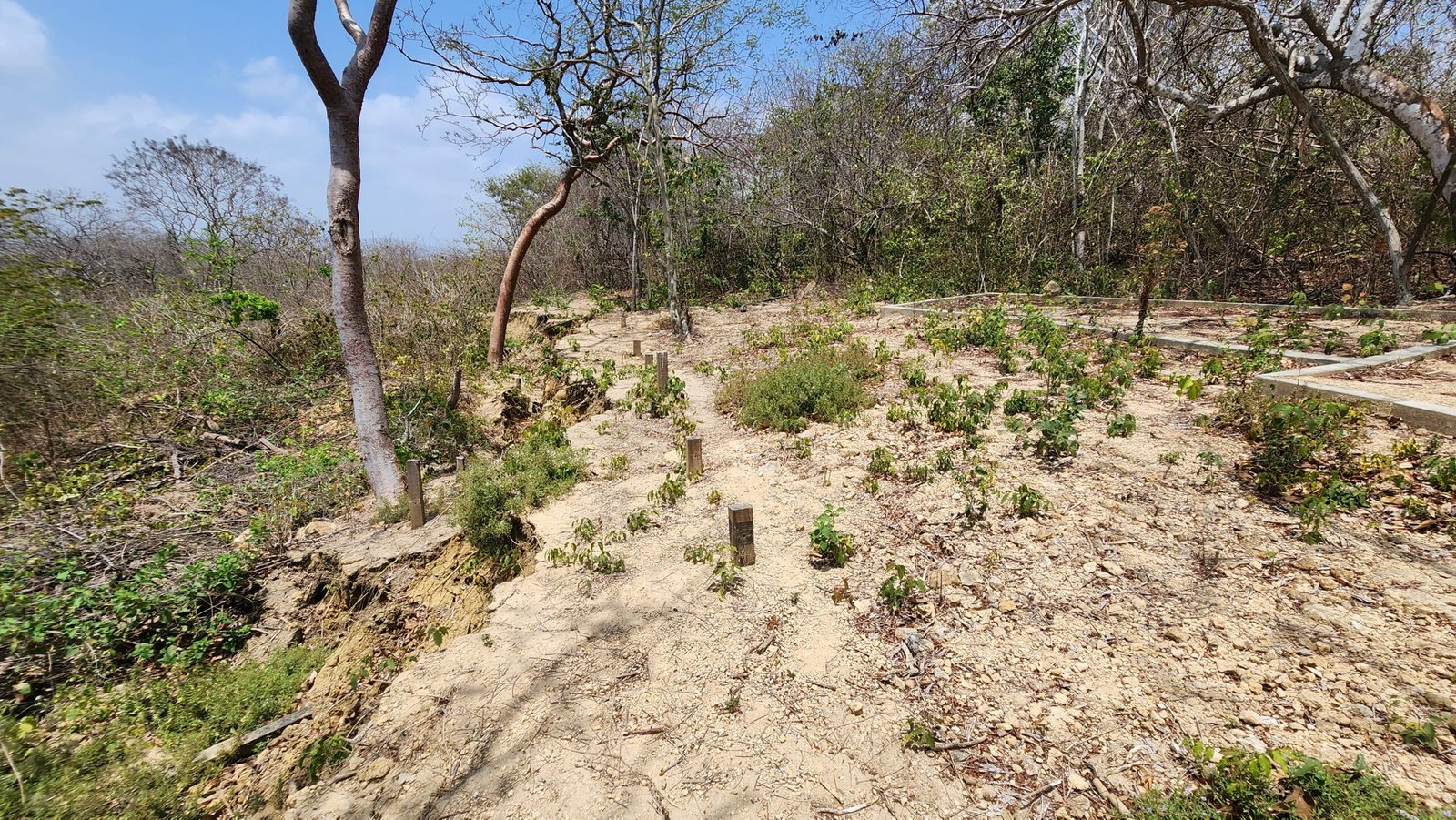 La tercera rampa desapareció. El terreno se desbarrancó y solo quedan unos palos en el suelo.