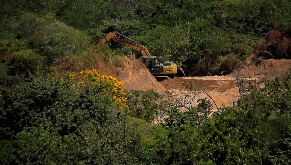 Maquinaria amarilla arrasa el bosque tropical en el nororiente de Barranquilla: ecocidio.