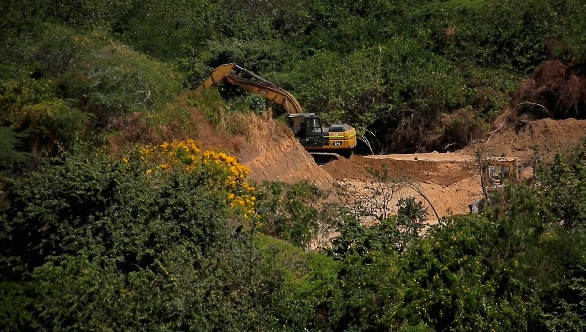 Maquinaria amarilla arrasa el bosque tropical en el nororiente de Barranquilla: ecocidio.