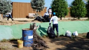 Comunidad e instituciones en la recolección.